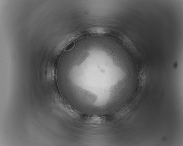 X0000112090330200908111400