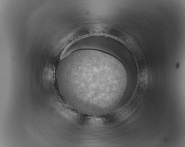 X0000112090332200908111400