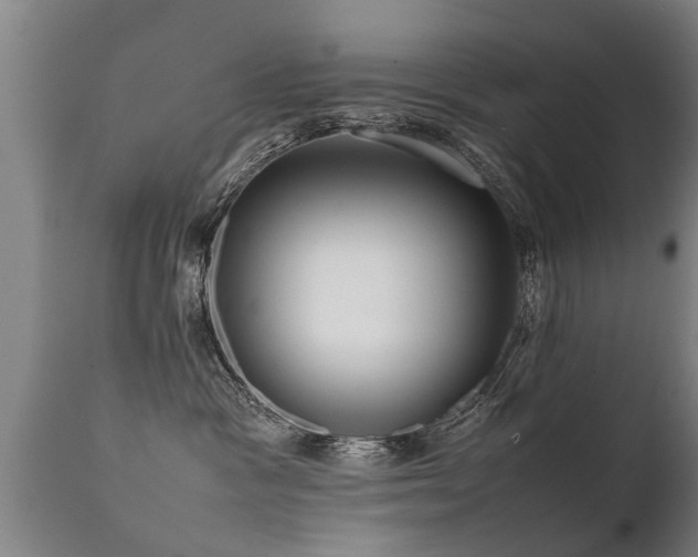 X0000112090333200908111400