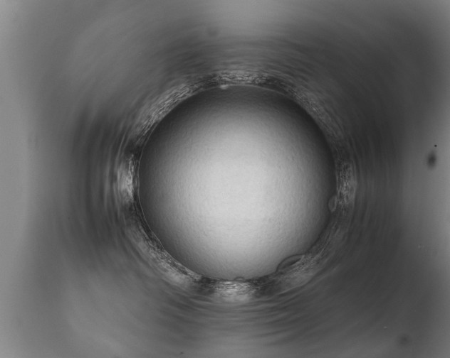 X0000112090334200908111400