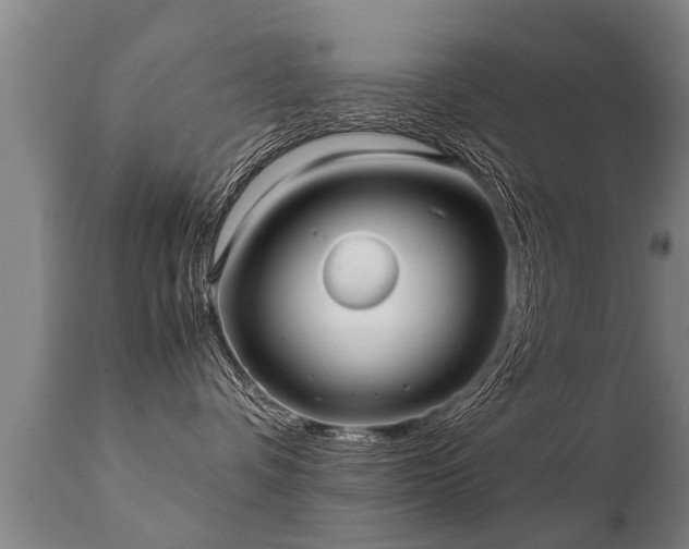 X0000112090336200908111400