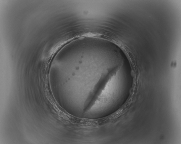 X0000112090337200908111359