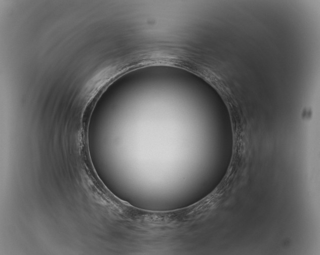 X0000112090338200908111359