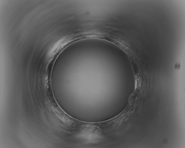 X0000112090339200908111359