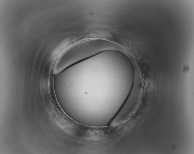 X0000112090340200908111359