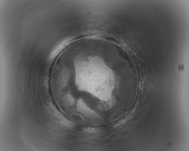 X0000112090341200908111359