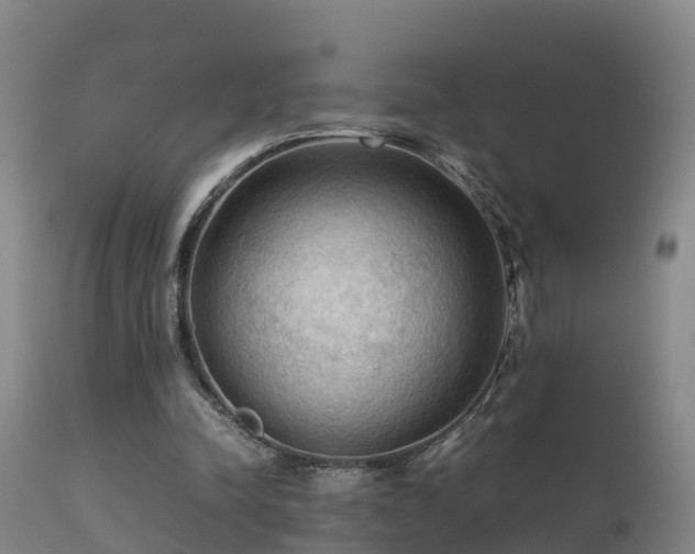 X0000112090342200908111359