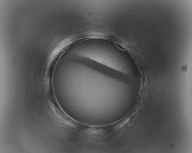 X0000112090343200908111359