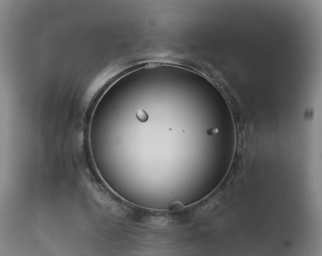 X0000112090344200908111359