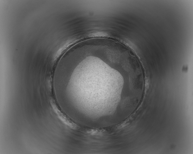 X0000112090345200908111359