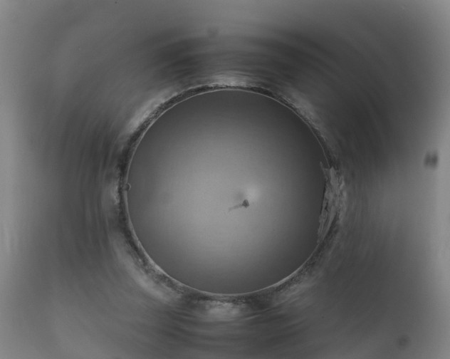 X0000112090347200908111359