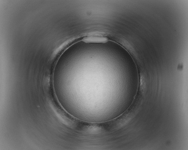 X0000112090348200908111359