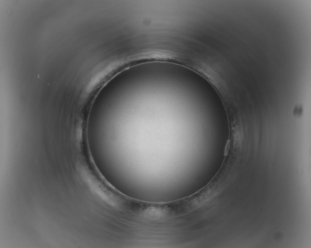 X0000112090350200908111359