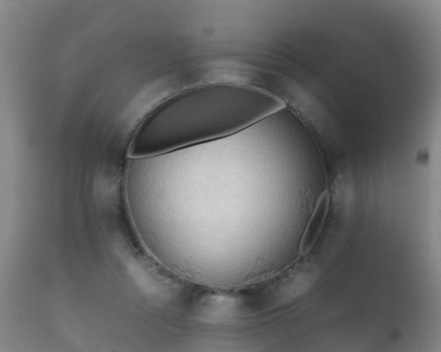 X0000112090352200908111359