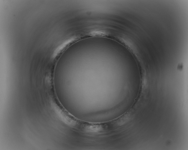 X0000112090353200908111359