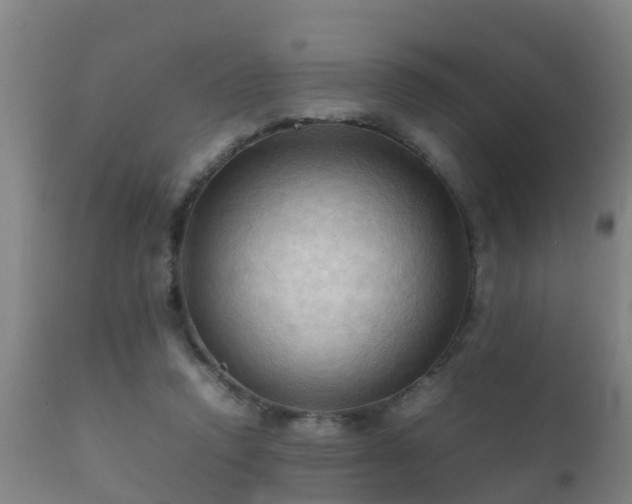 X0000112090354200908111359