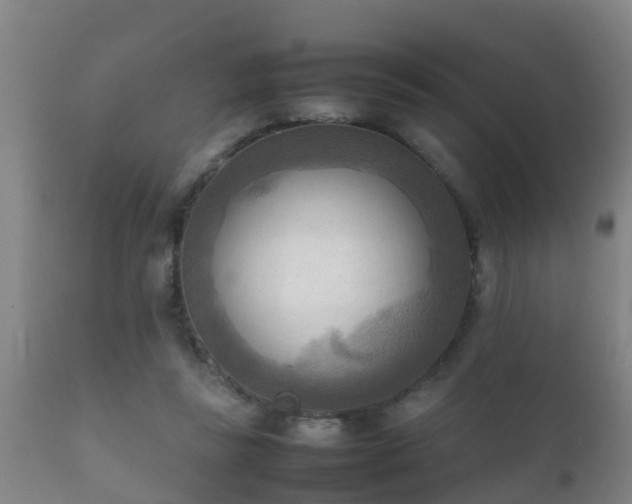 X0000112090355200908111359