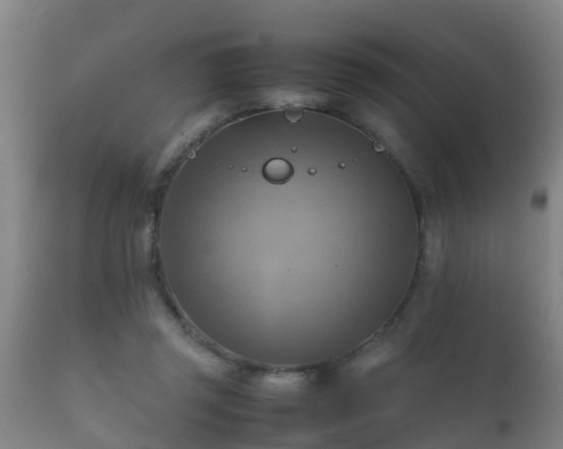 X0000112090357200908111359