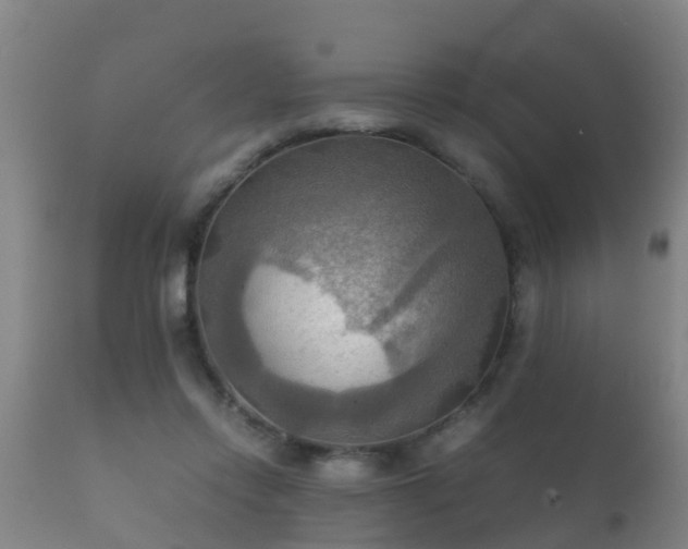 X0000112090358200908111359