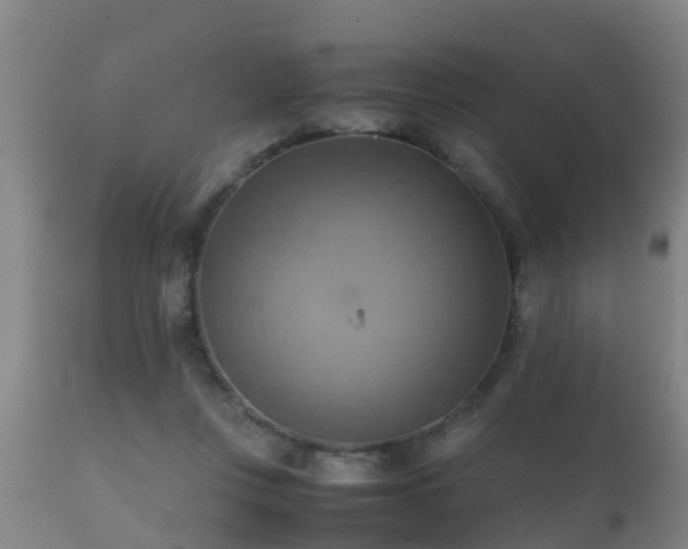 X0000112090359200908111359