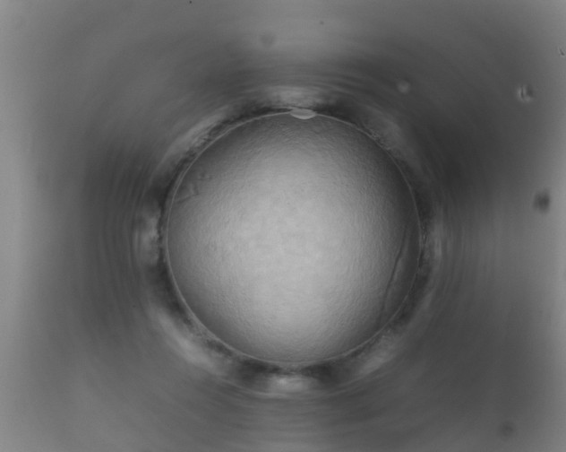 X0000112090360200908111359