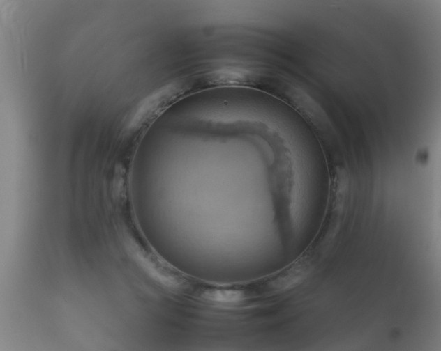 X0000112090361200908111359