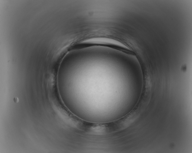 X0000112090362200908111359