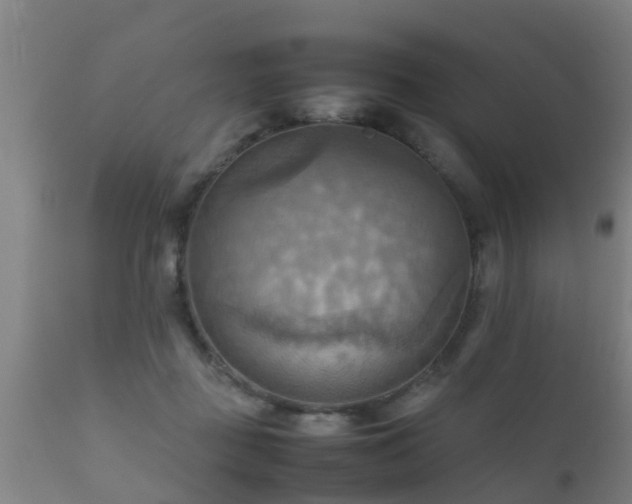 X0000112090363200908111359