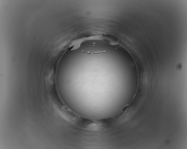 X0000112090364200908111359