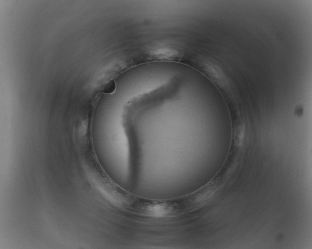 X0000112090365200908111359