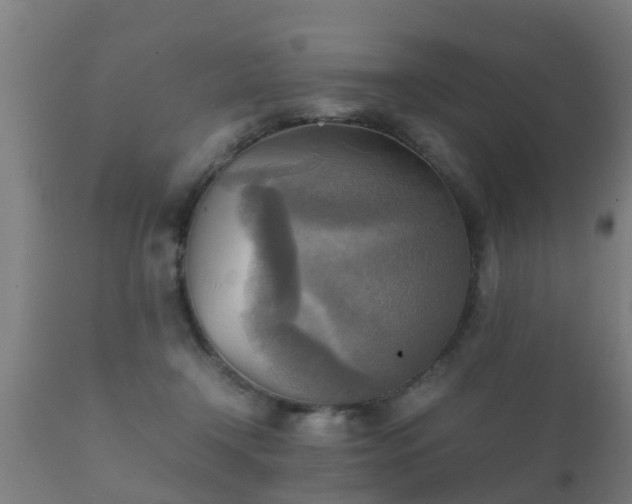 X0000112090366200908111359