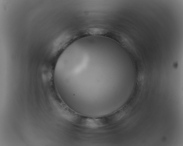 X0000112090367200908111359