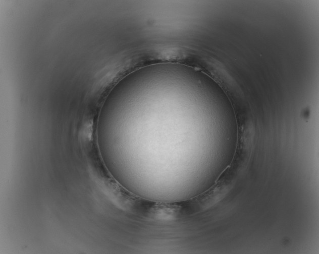 X0000112090368200908111359