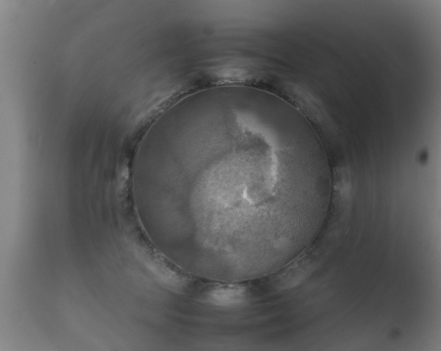 X0000112090369200908111359