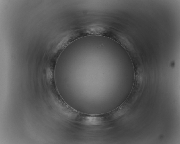 X0000112090371200908111359