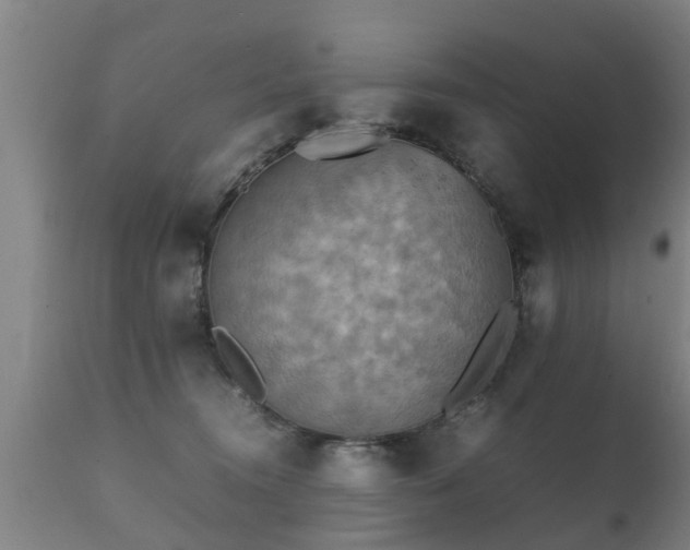 X0000112090372200908111359