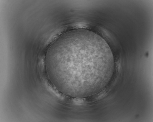 X0000112090373200908111359