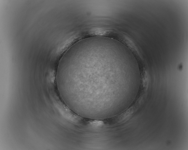 X0000112090374200908111359