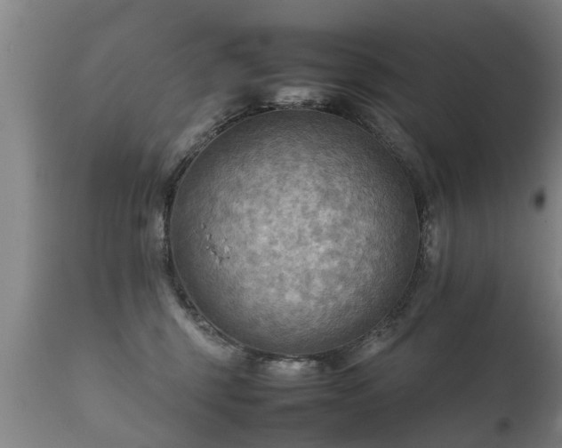 X0000112090375200908111359