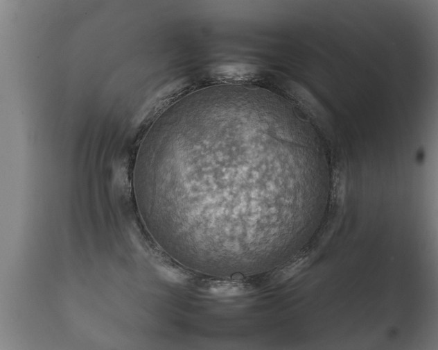 X0000112090377200908111359