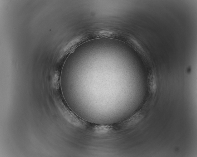 X0000112090378200908111359