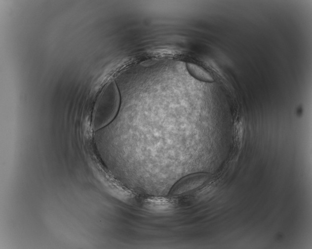 X0000112090381200908111400