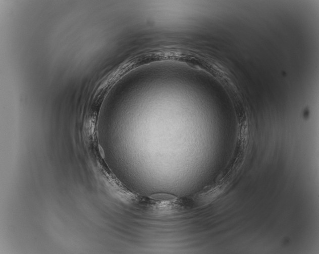 X0000112090382200908111400