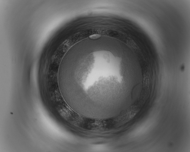 X0000112090383200908111400