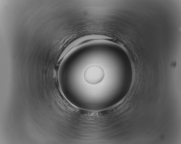 X0000112090384200908111400