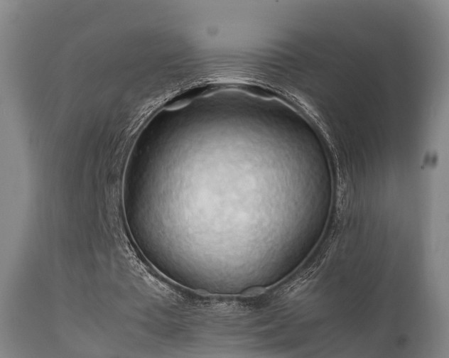 X0000112090385200908111359