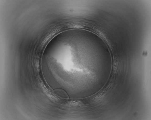 X0000112090386200908111359