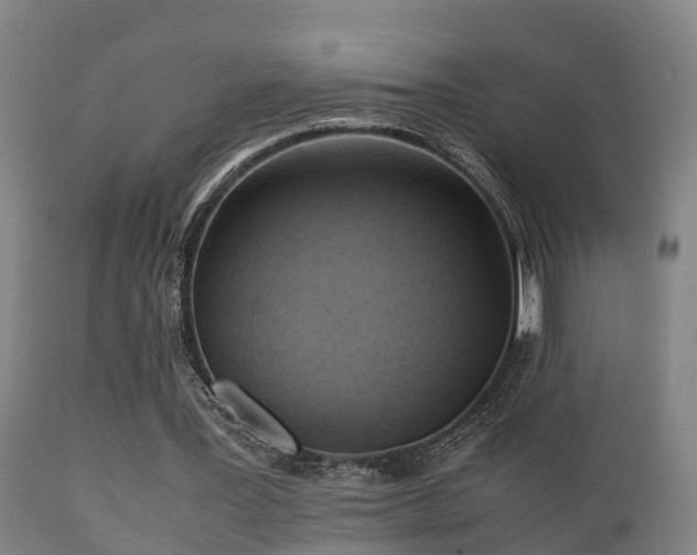 X0000112090387200908111359