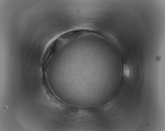 X0000112090388200908111359