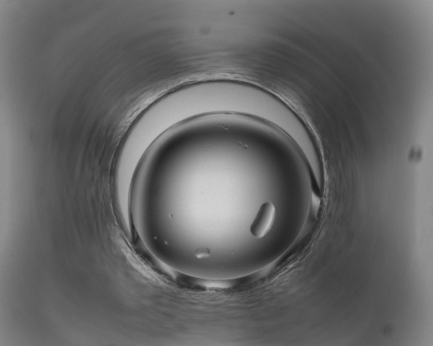 X0000112090389200908111359